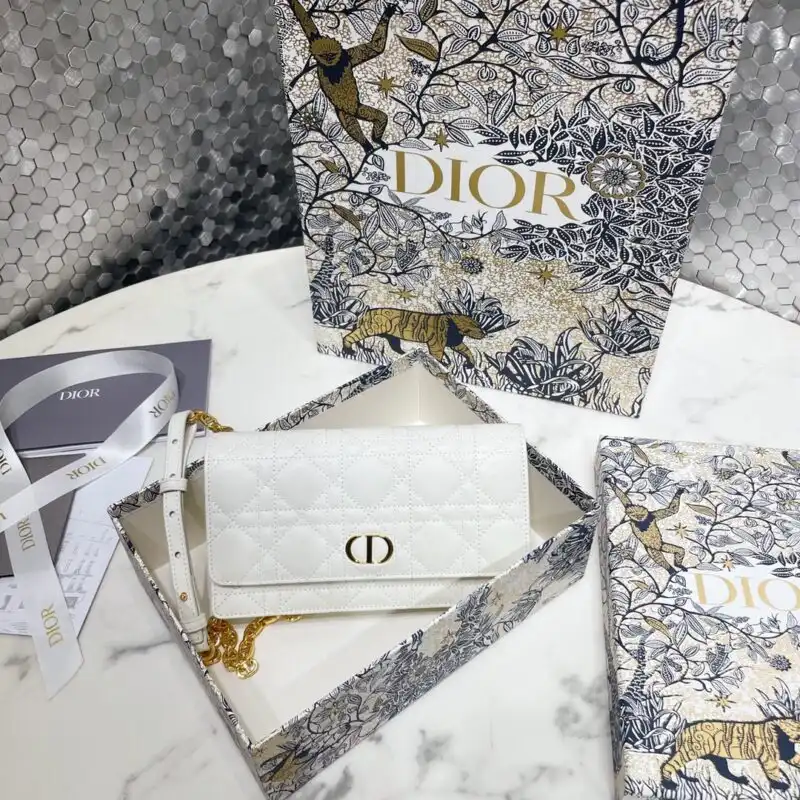 Introducing the Dior Miss Caro Pouch in elegant white ✨ Perfect for adding a touch of sophistication to your day! 👜❤️ https://tinyurl.com/23m4u6sa