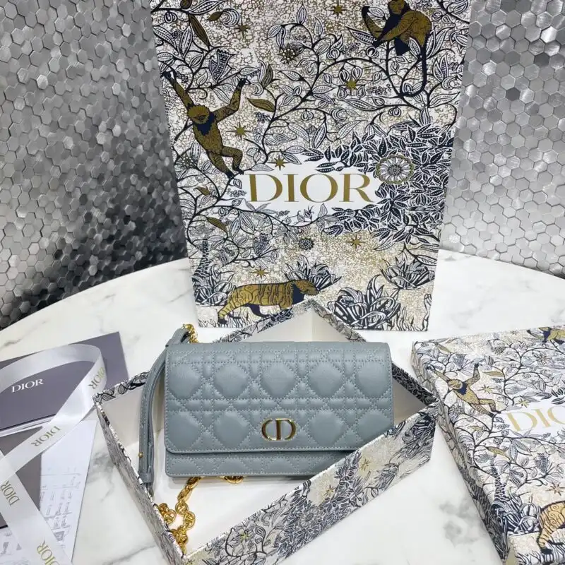 Introducing the Dior Miss Caro Pouch in a serene Sky Blue. A perfect blend of elegance and charm for your collection. 💙✨👜 https://tinyurl.com/23yv7szf