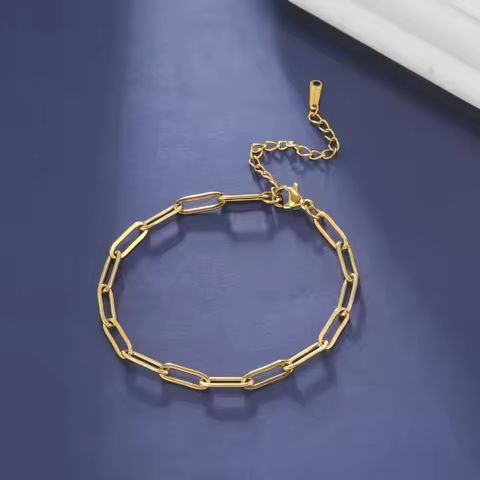 Stainless Steel Bracelet for Women Paperclip Chain Minimalist Jewelry Gift for Friend Fashion Simple Accessories https://tinyurl.com/277ajgrh