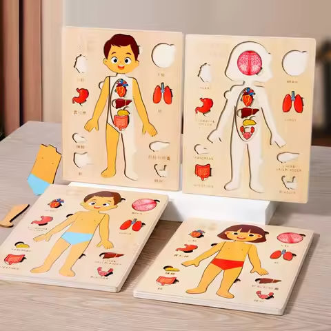 Montessori Puzzles Busy Board Human Body Teaching Learning Body Parts For Children Early Education Games Toddlers Quiet Books https://tinyurl.com/2ar4gupn