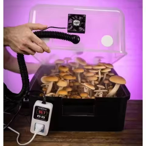 Automated ‘Boomr Bin’ Mushroom Monotub Kit https://tinyurl.com/2yscndoz